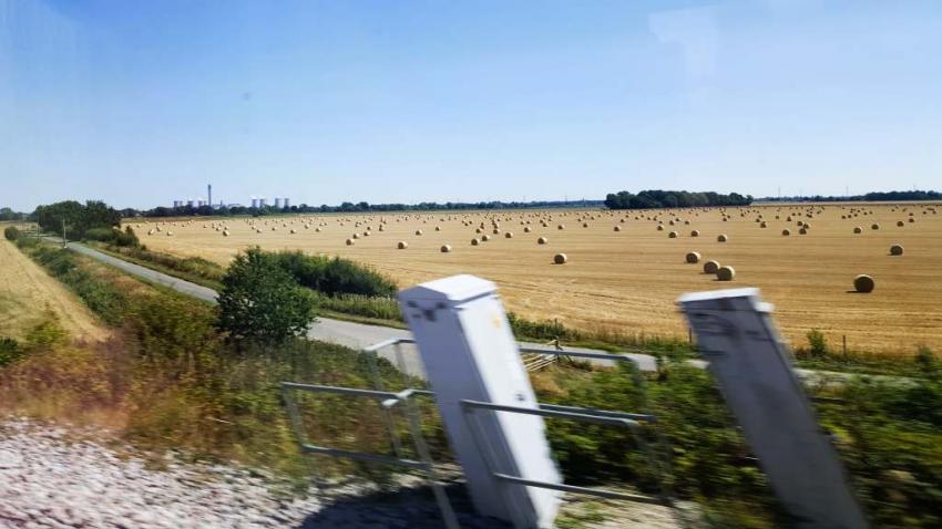 Golden field of hay with blue sky