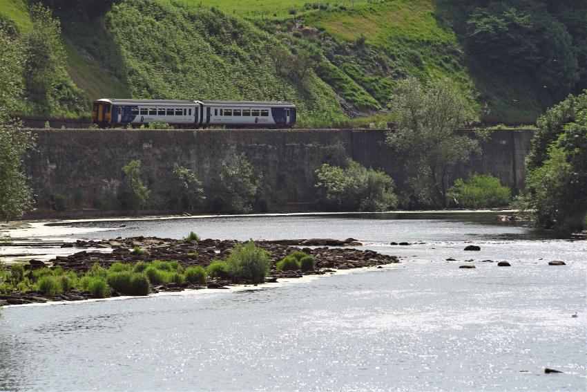 Train travelling by the side of water with lush green sidings