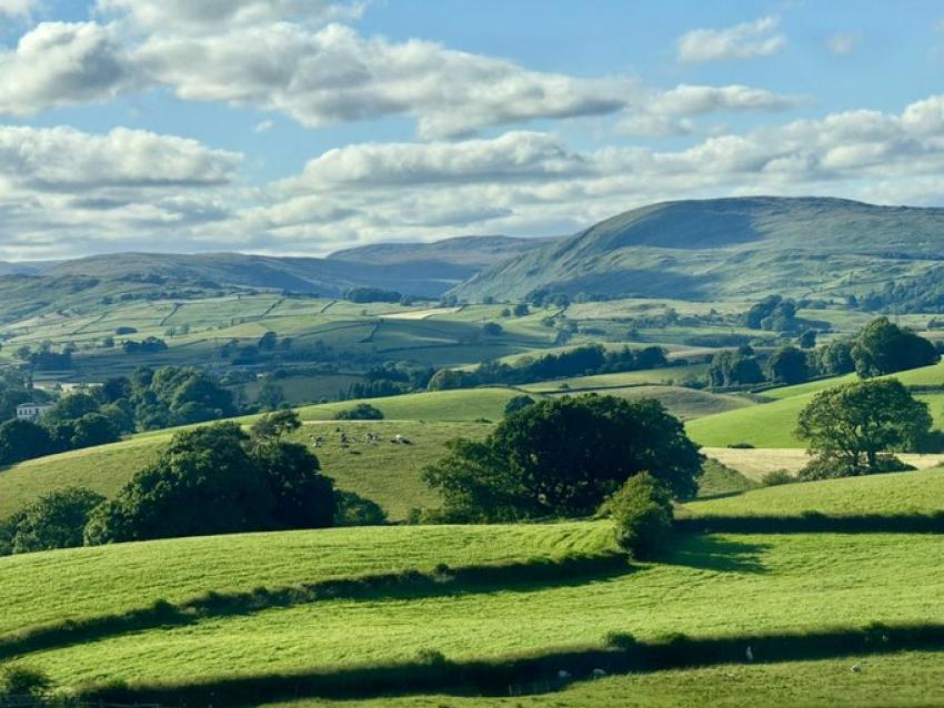 view of rolling lush countrysidewith fluffy clouds and blue sky