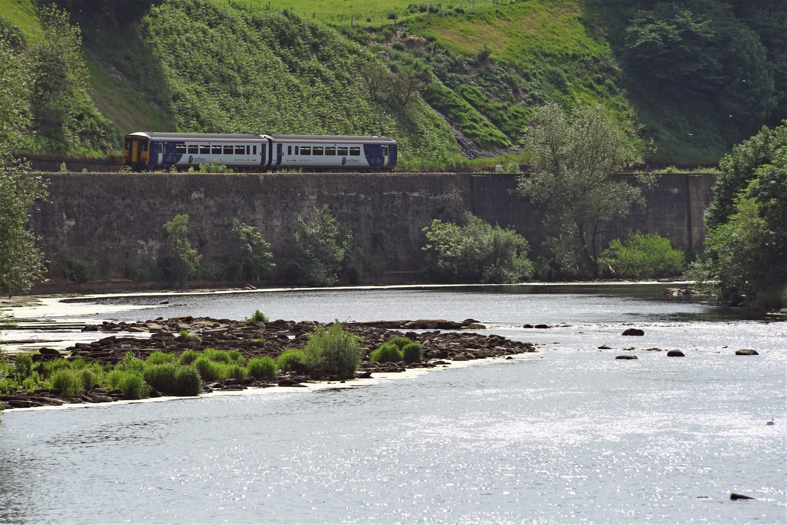 Train travelling by the side of water with lush green sidings