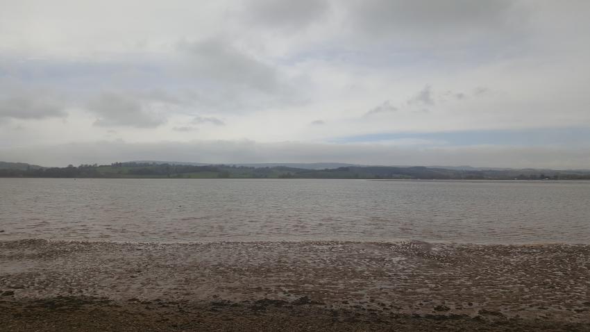 Topsham estuary