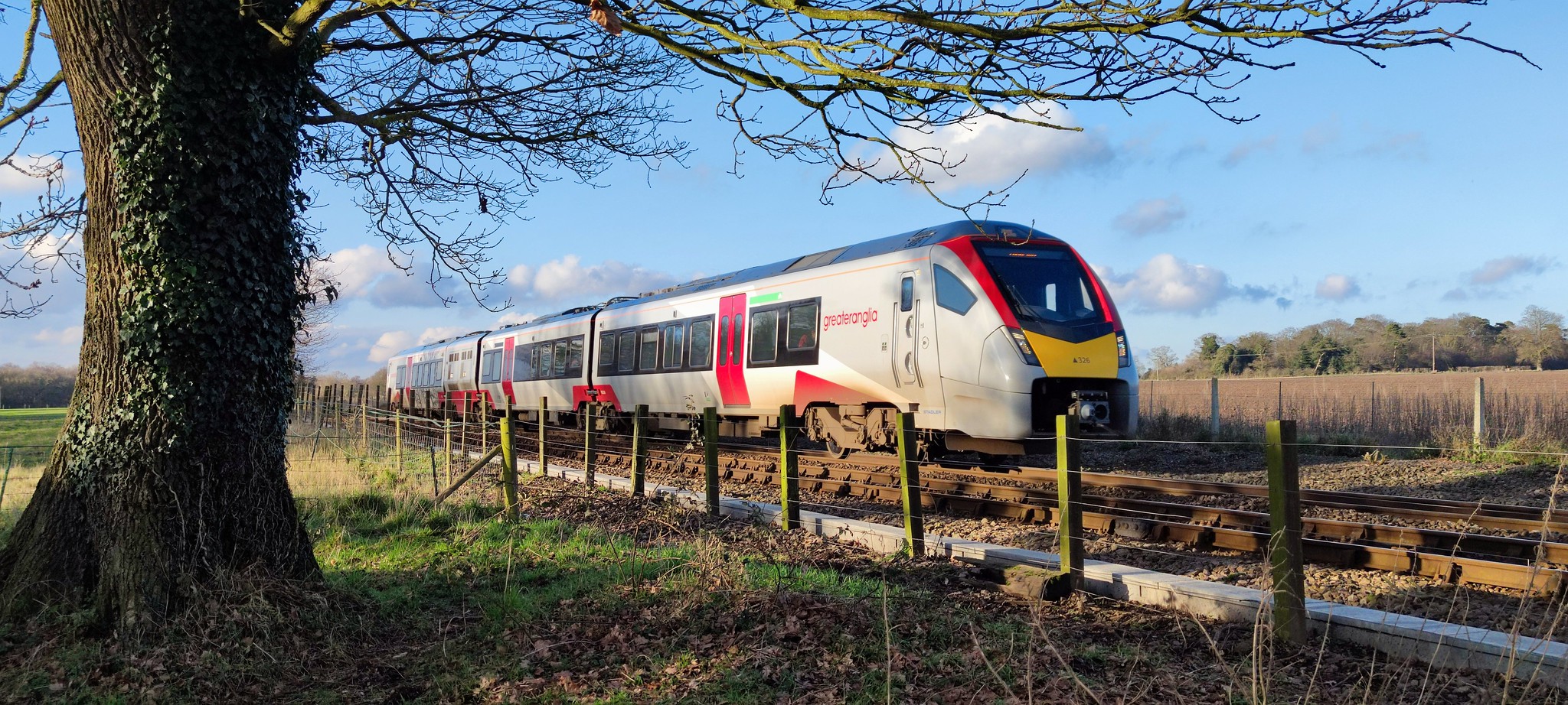 Greater Anglia train approaching Buckenham along the Wherry Lines