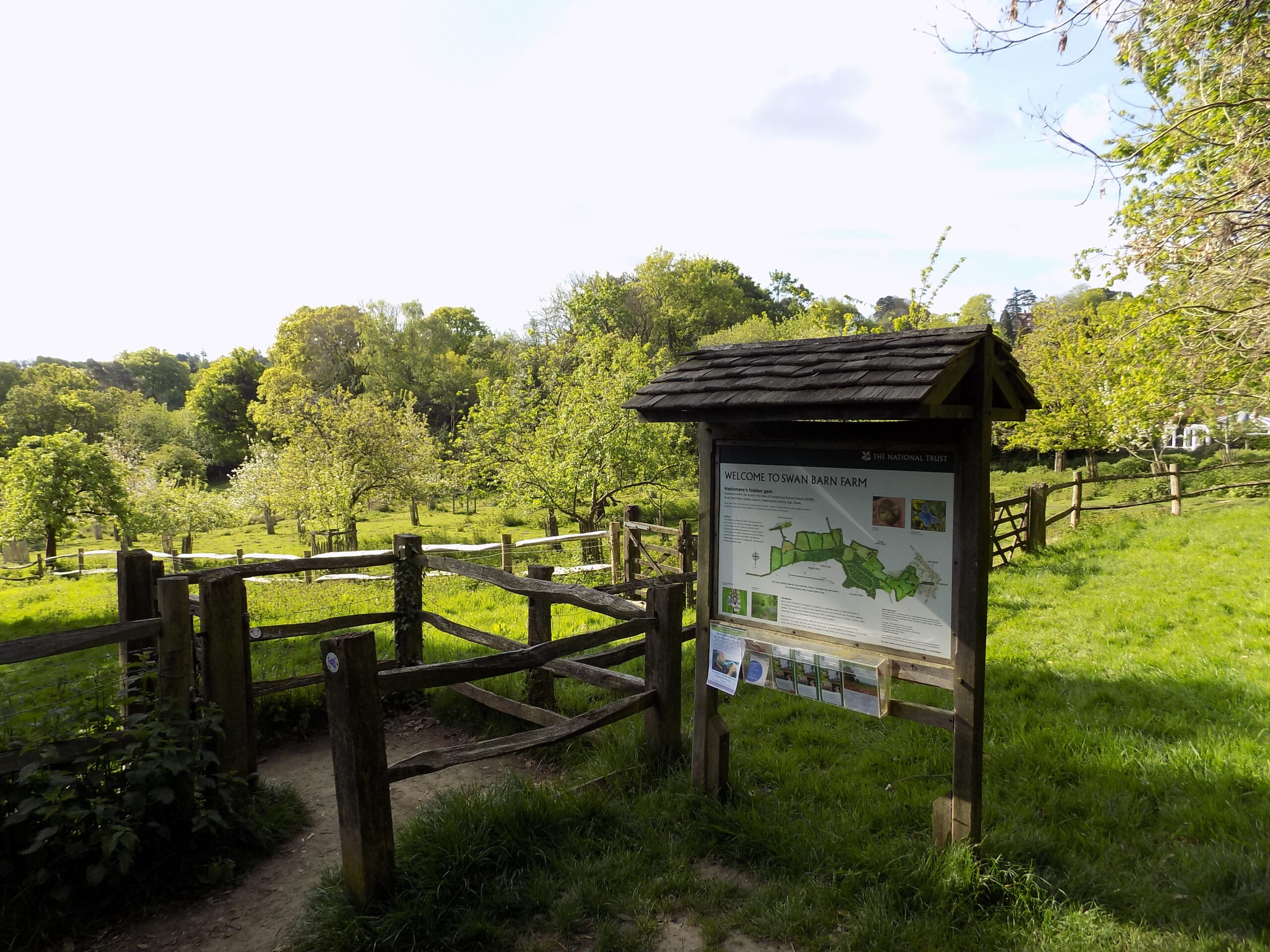 Explore Surrey Hills to South Downs