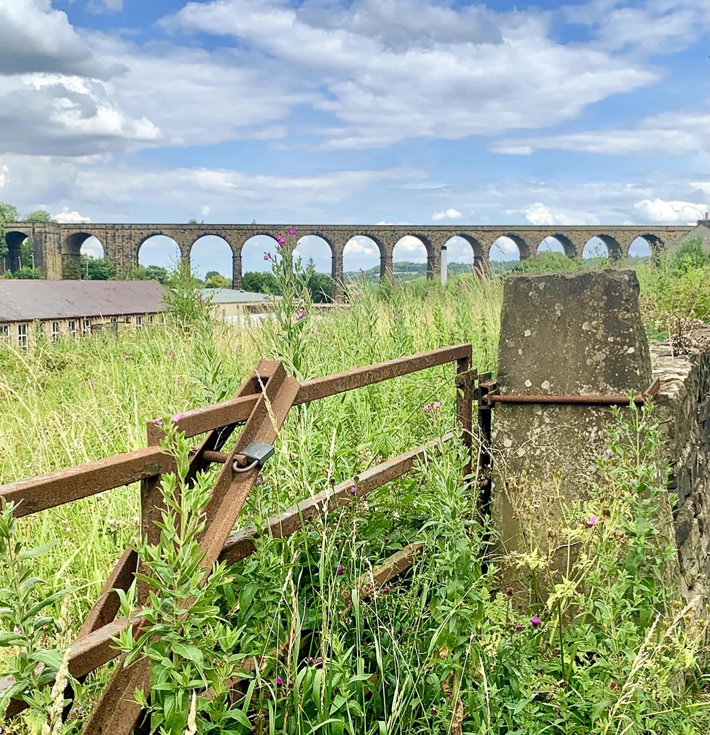 View from a lush green field of the Denby Dale Viaduct