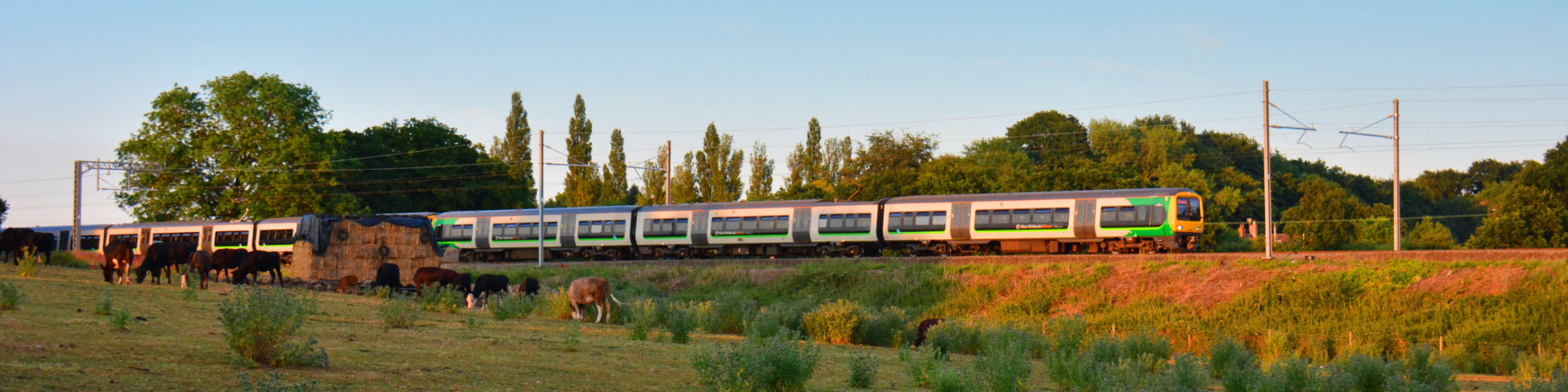 Train travelling through countryside in the evening sun