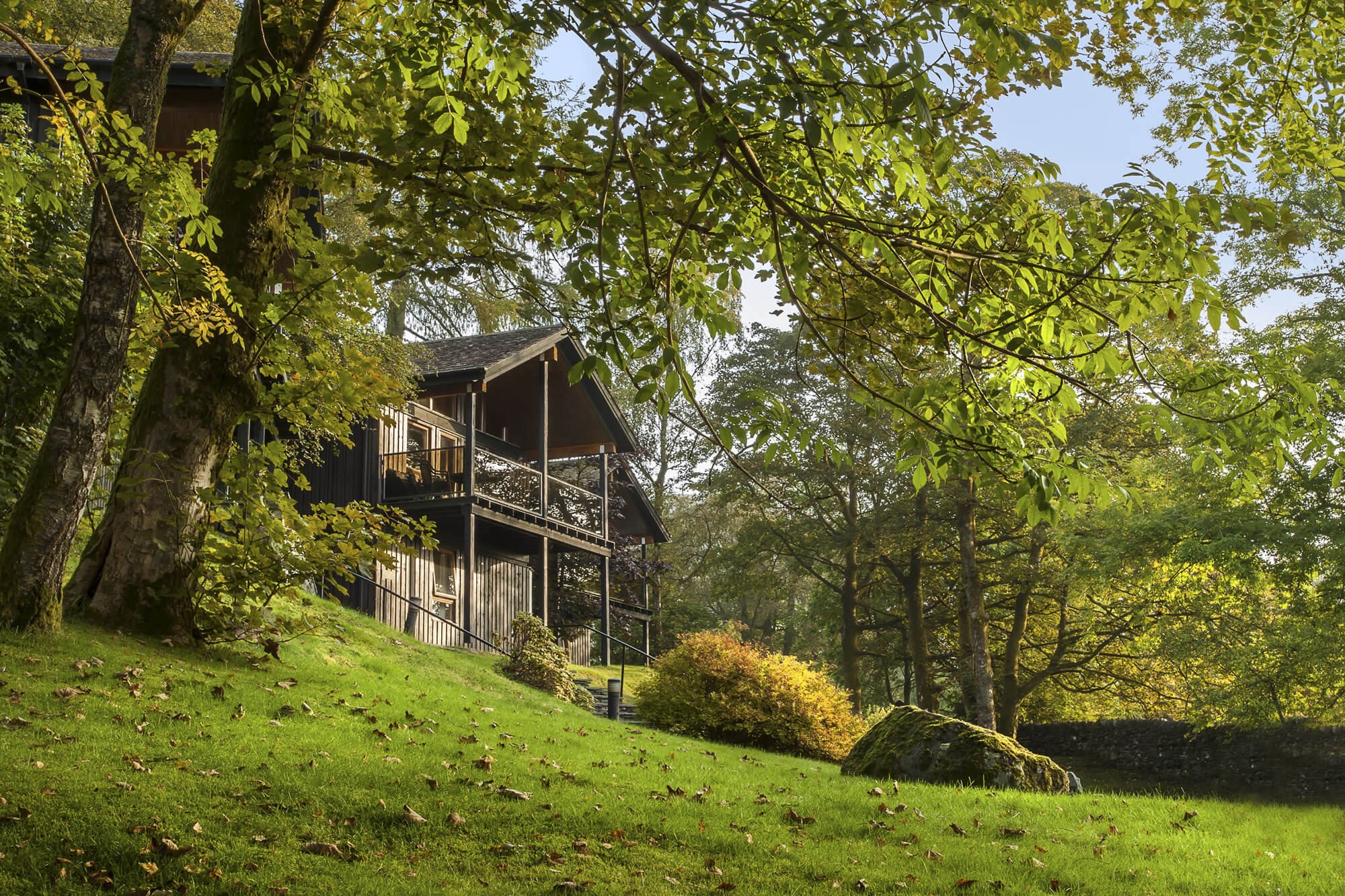 Log cabin set amongst the trees