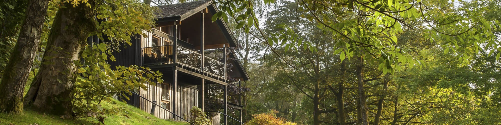 Log cabin set amongst the trees