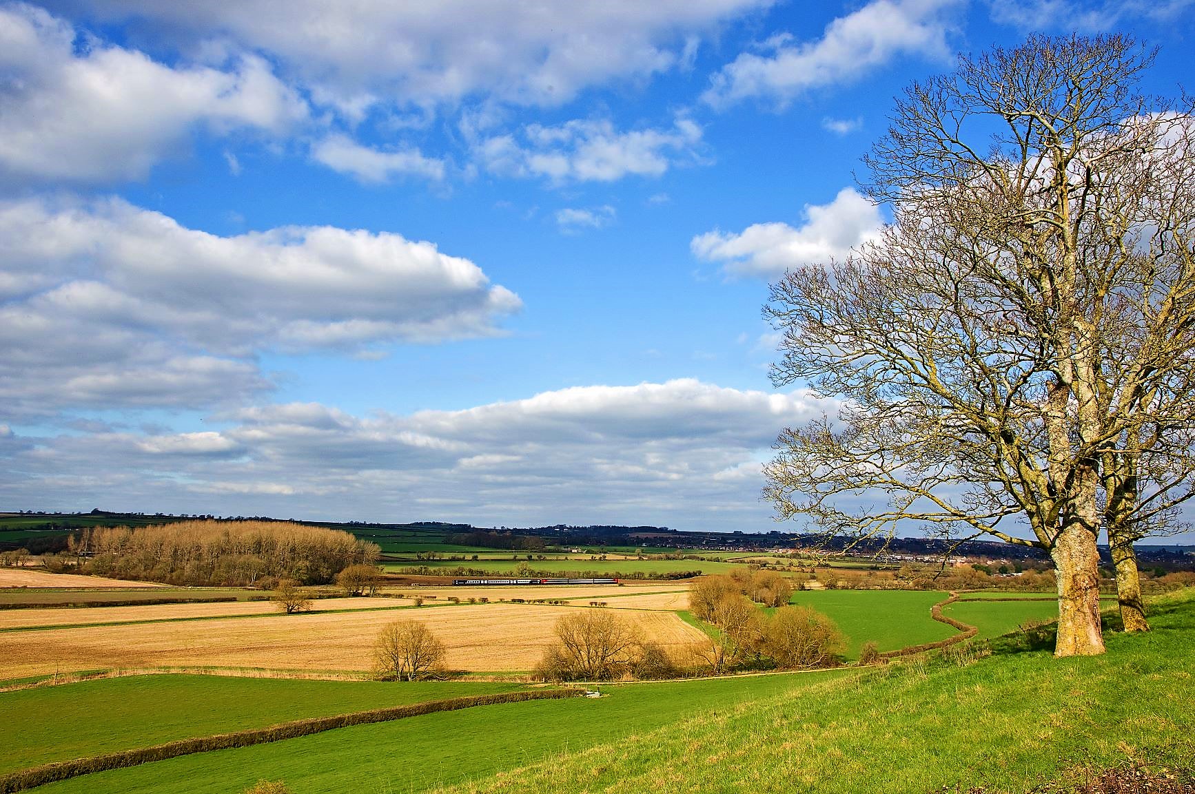 Beautiful walks in the Blackmore Vale by train.