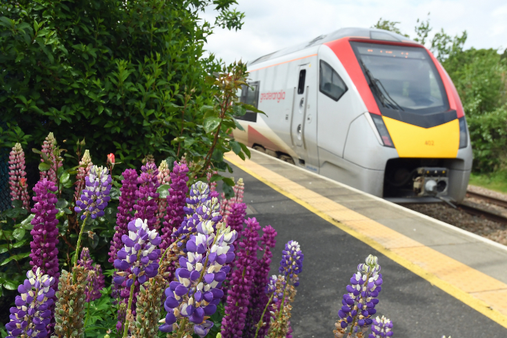 Greater Anglia train at a station with beautiful purple flowers and green shrubs