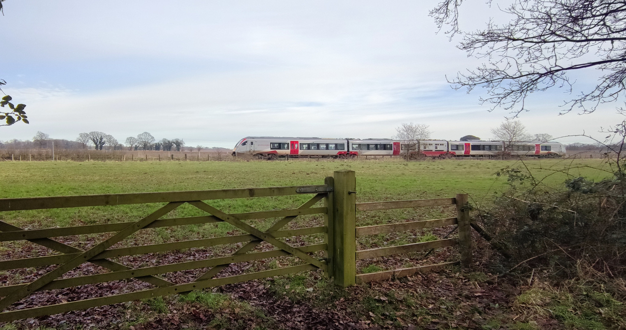 Greater Anglia tran passing Buckenham Marshes along the Wherry Lines.