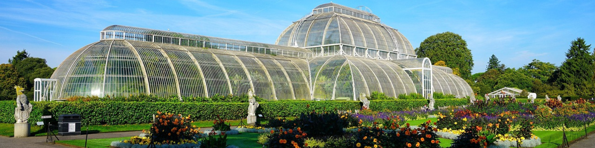 Kew Garden glasshouse and beautiful flowers