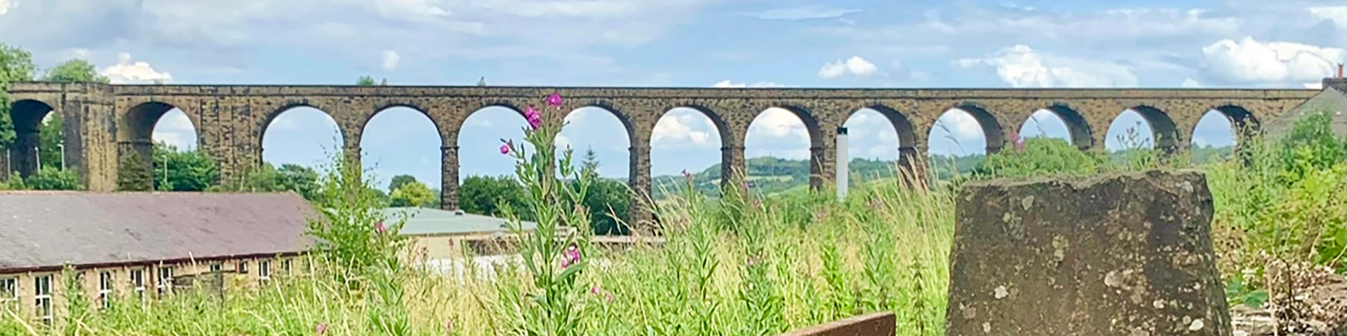 View from a lush green field of the Denby Dale Viaduct