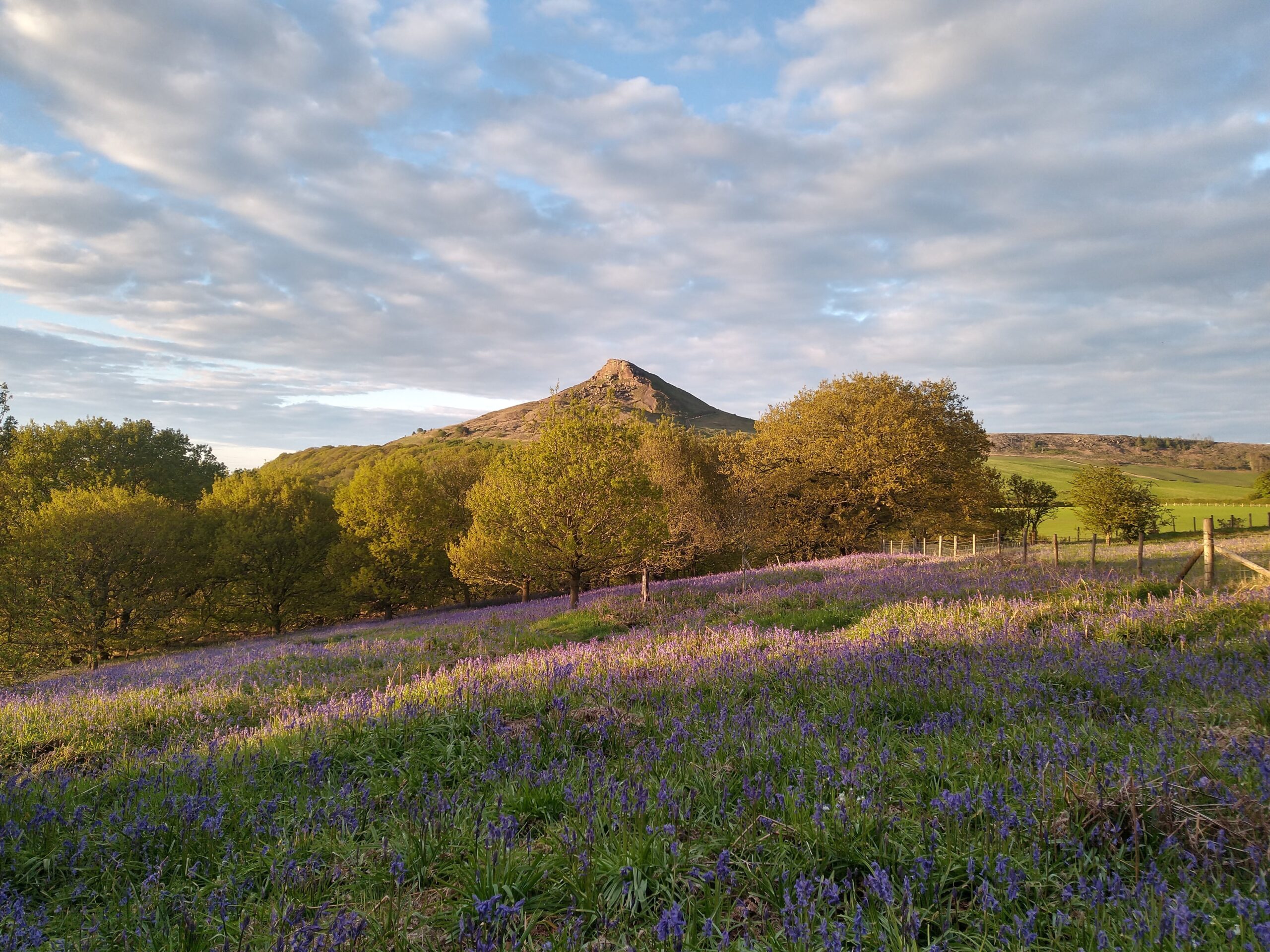 Esk Valley Roseberry Topping in the sunshine