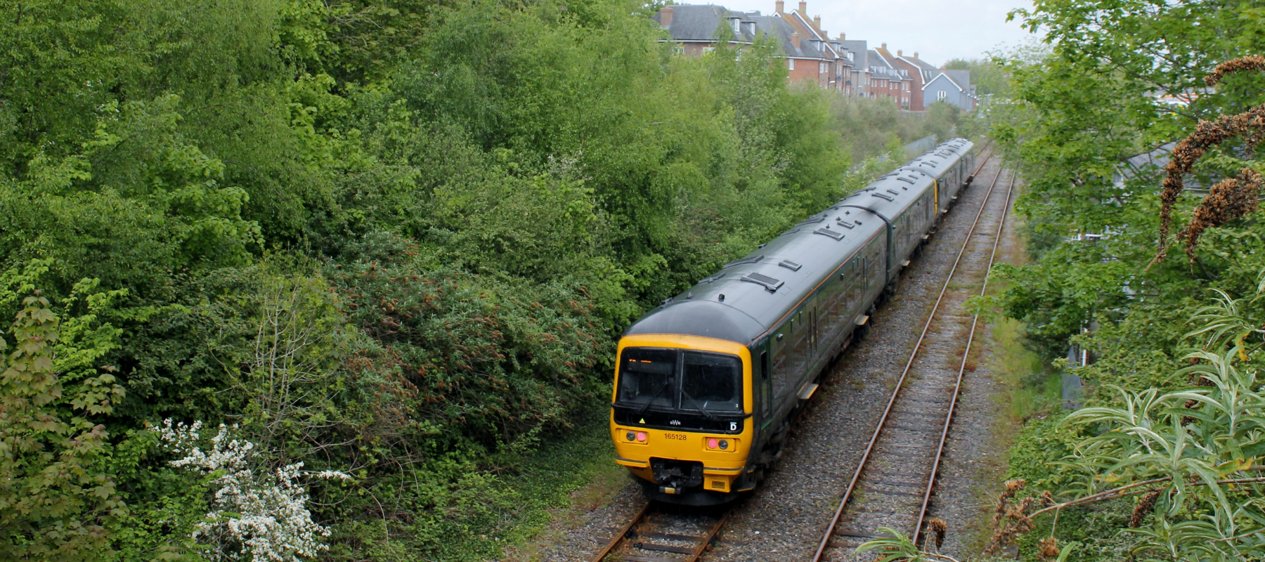 South Wessex train travelling through countryside