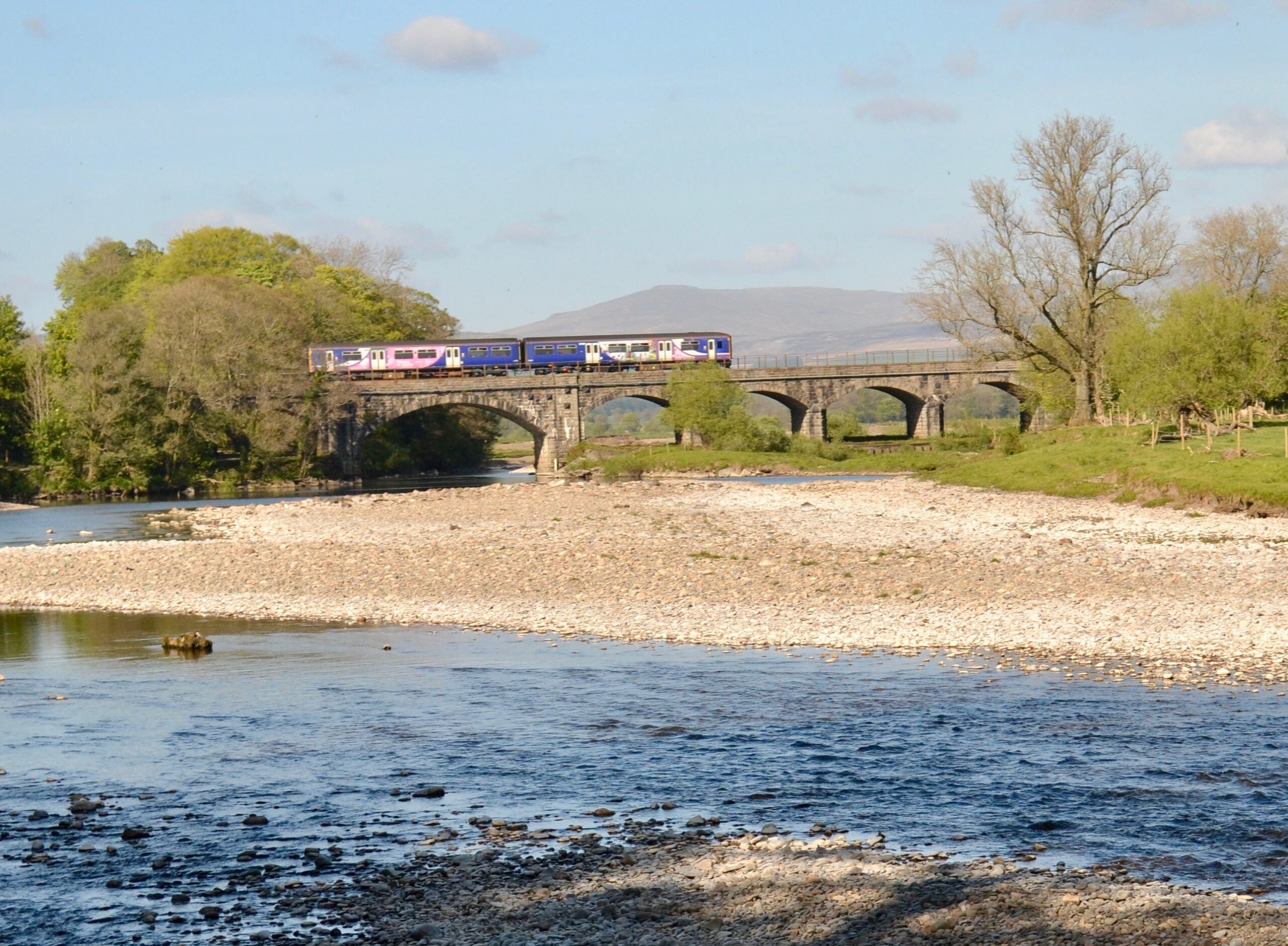 Train travelling along the Bentham Line through lush countryside