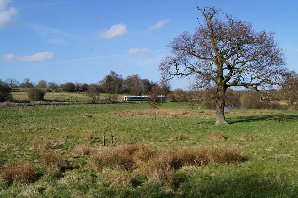 Train travelling through picturesque countryside along the Medway Valley Line. South East UK.