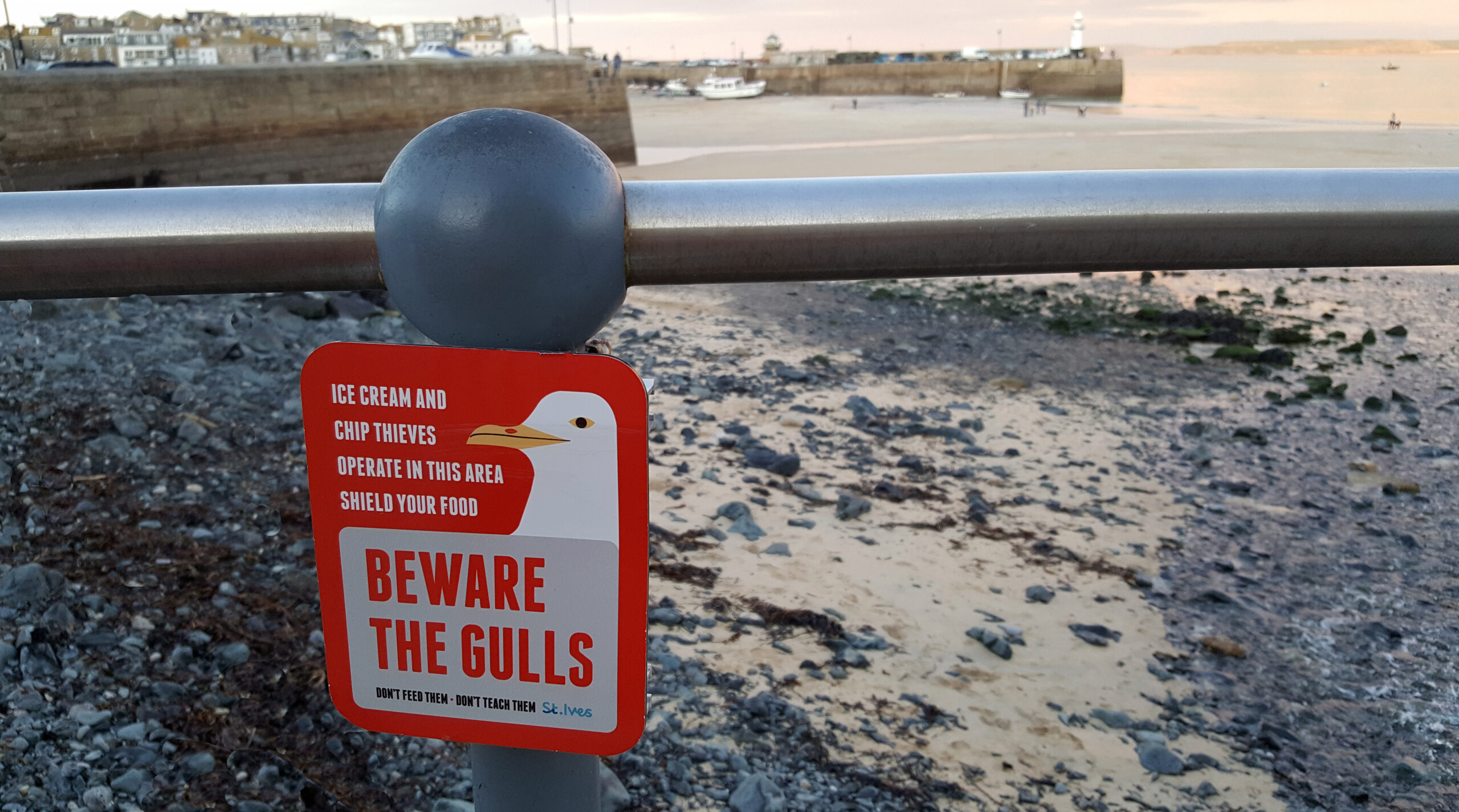 Beware of the gulls warning side on the beach