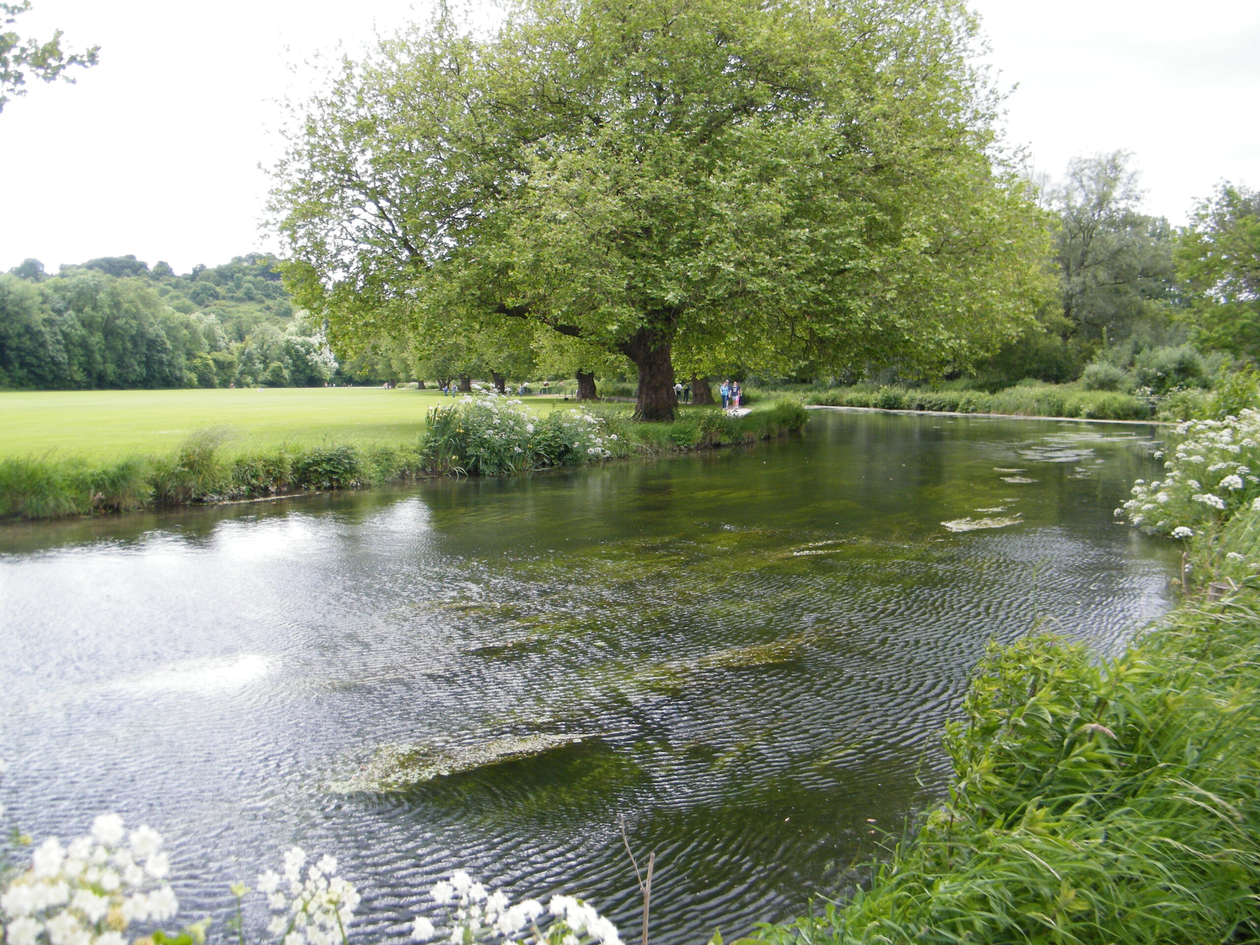 Itchen Navigation, Winchester