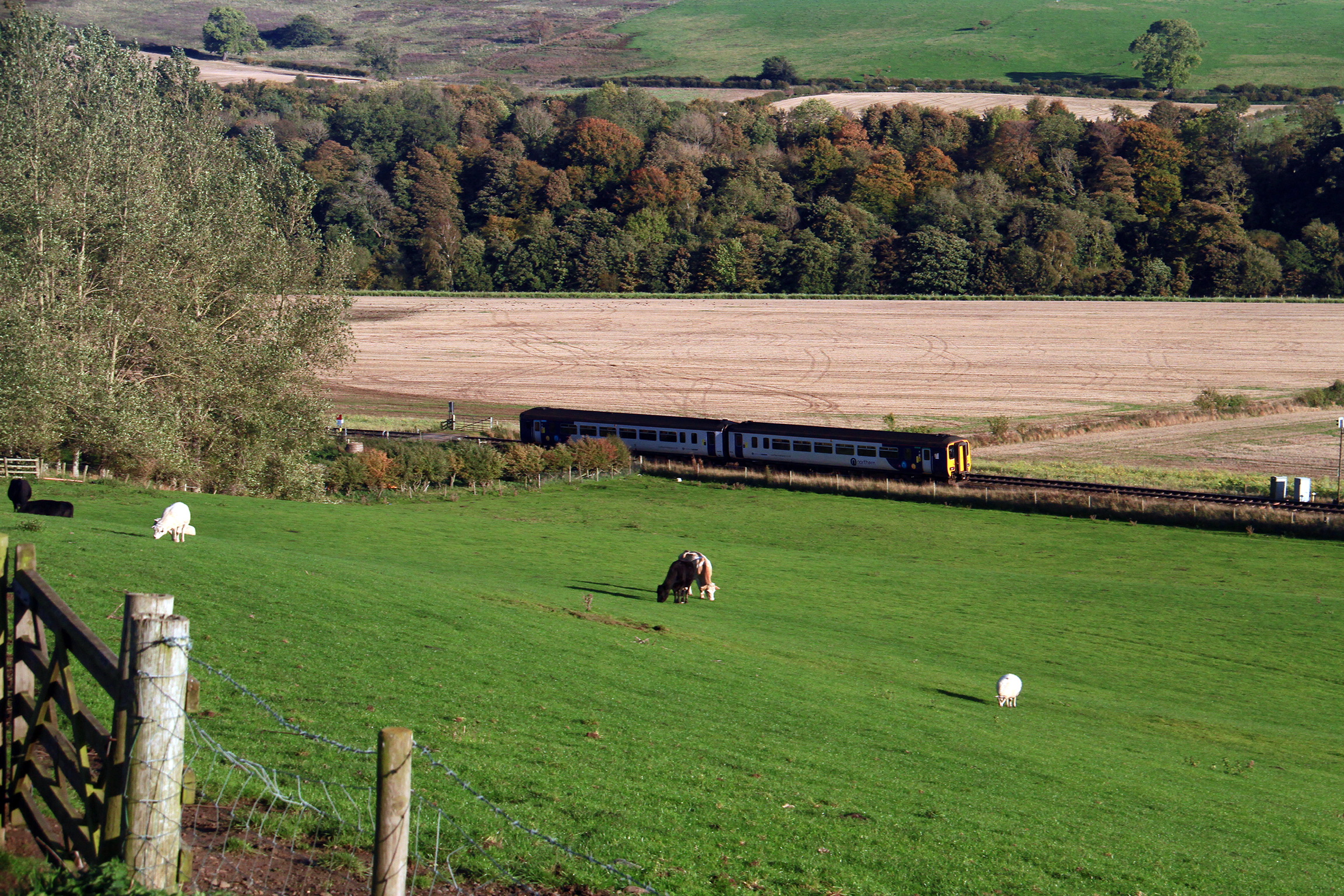 Tyne Valley