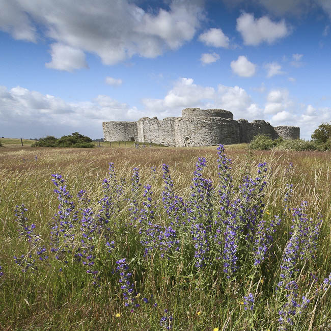 Camber castle