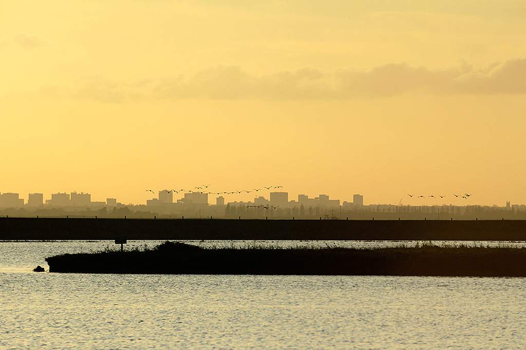 RSPB Wallasea Island accessible along the Crouch Valley Line. East UK