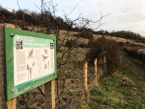 Fackenden Nature Reserve. Photo: Sarah Newman