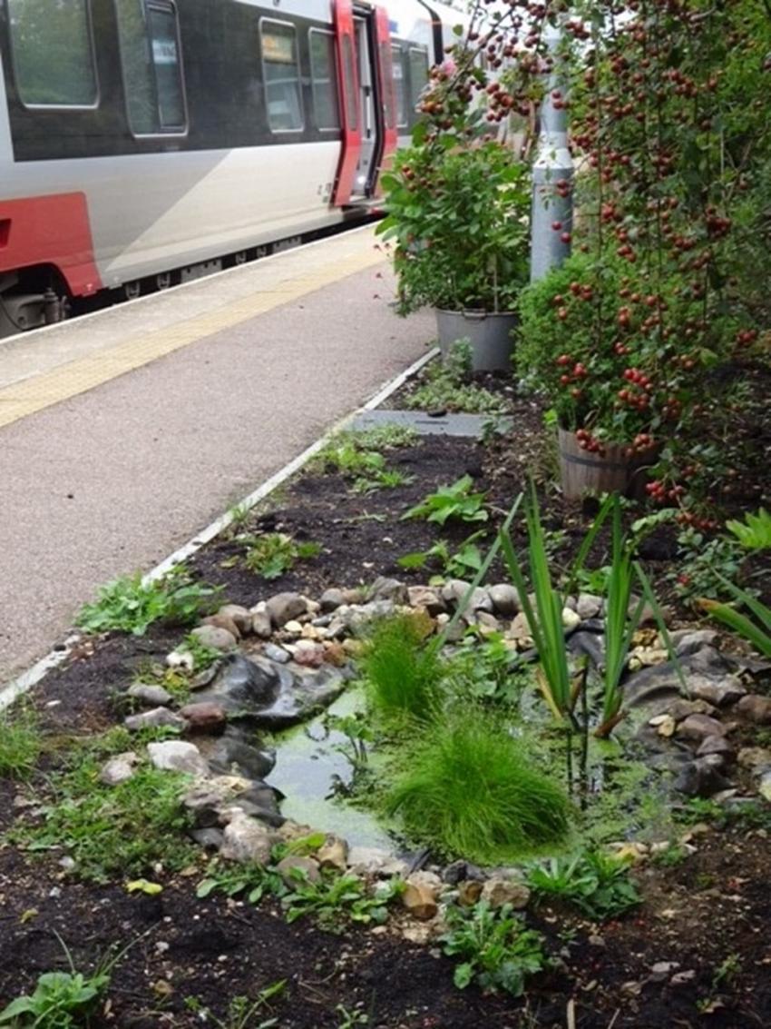 Days out by rail garden tour Dullingham