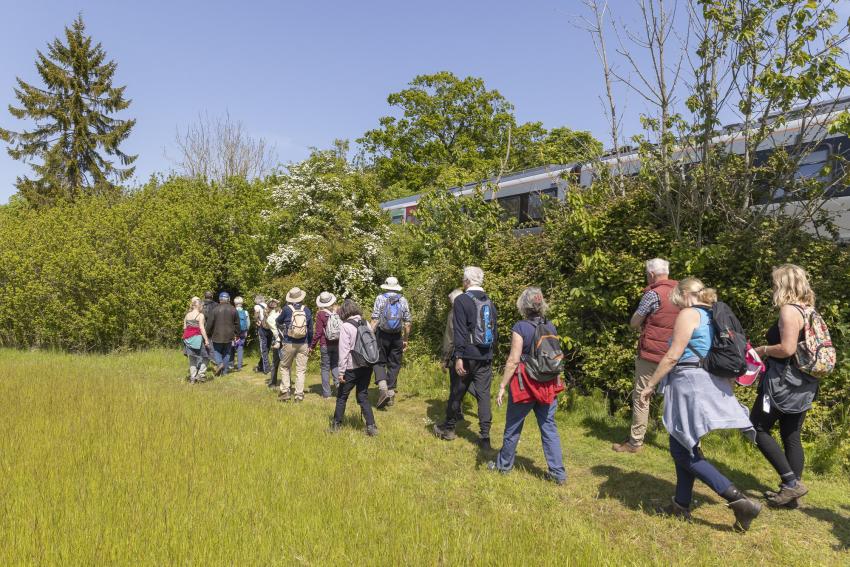 East Suffolk Lines walks