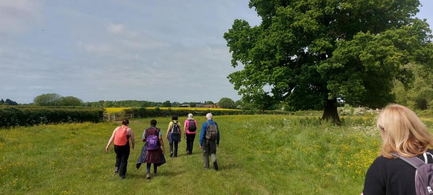 Heart of England walks