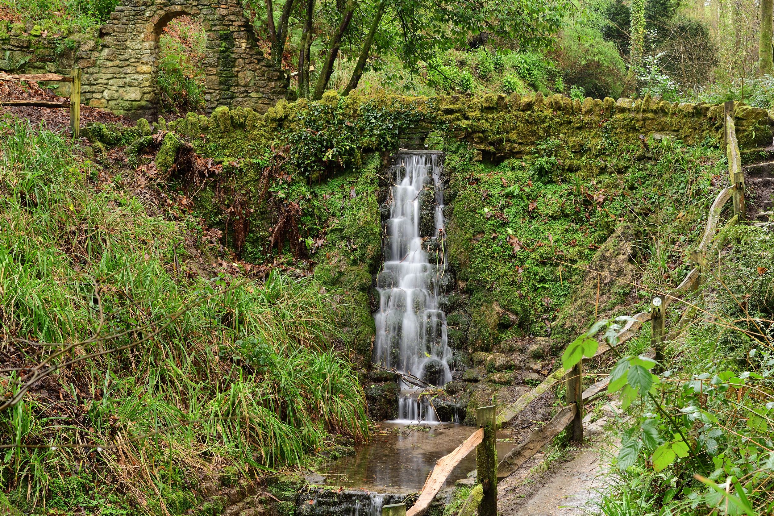 Ninesprings Blackmore Vale Line | picturesque waterfall surrounded by lush greenery