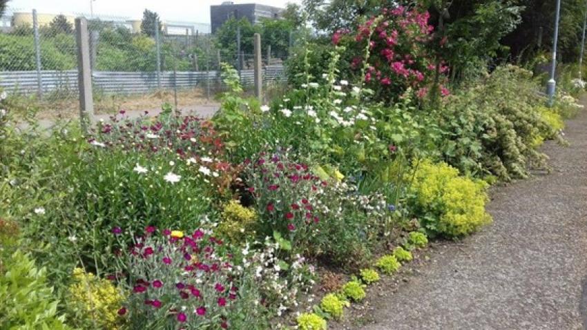 Days out by rail garden tour Thetford