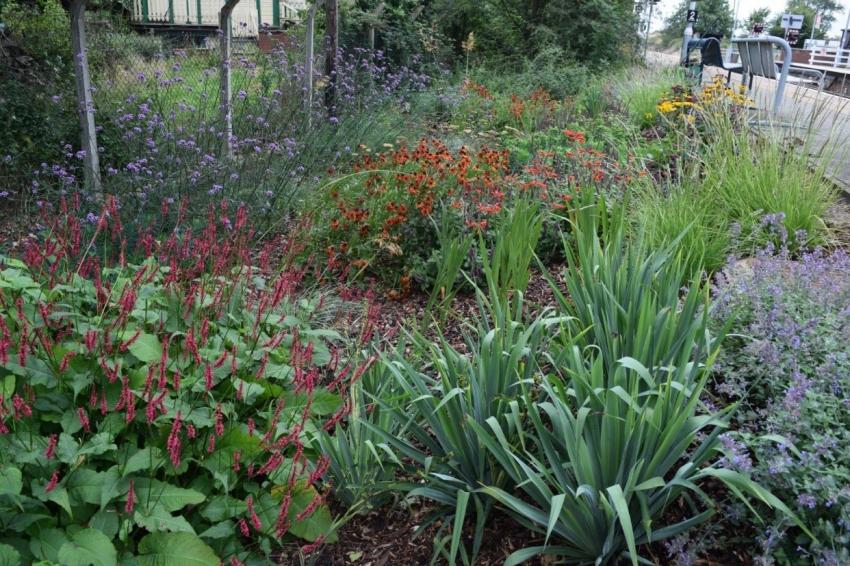 Days out by rail garden tour Westerfield