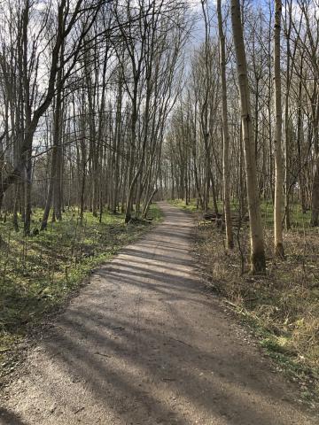 Wimpole Path in the sunshine, along the Rhee Valley