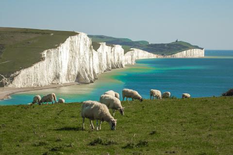 Seven Sisters chalk cliffs. Photo: Roman Grac from Pixabay