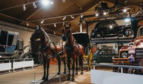 Stockwood Discovery Centre. Photo: culturetrust.com