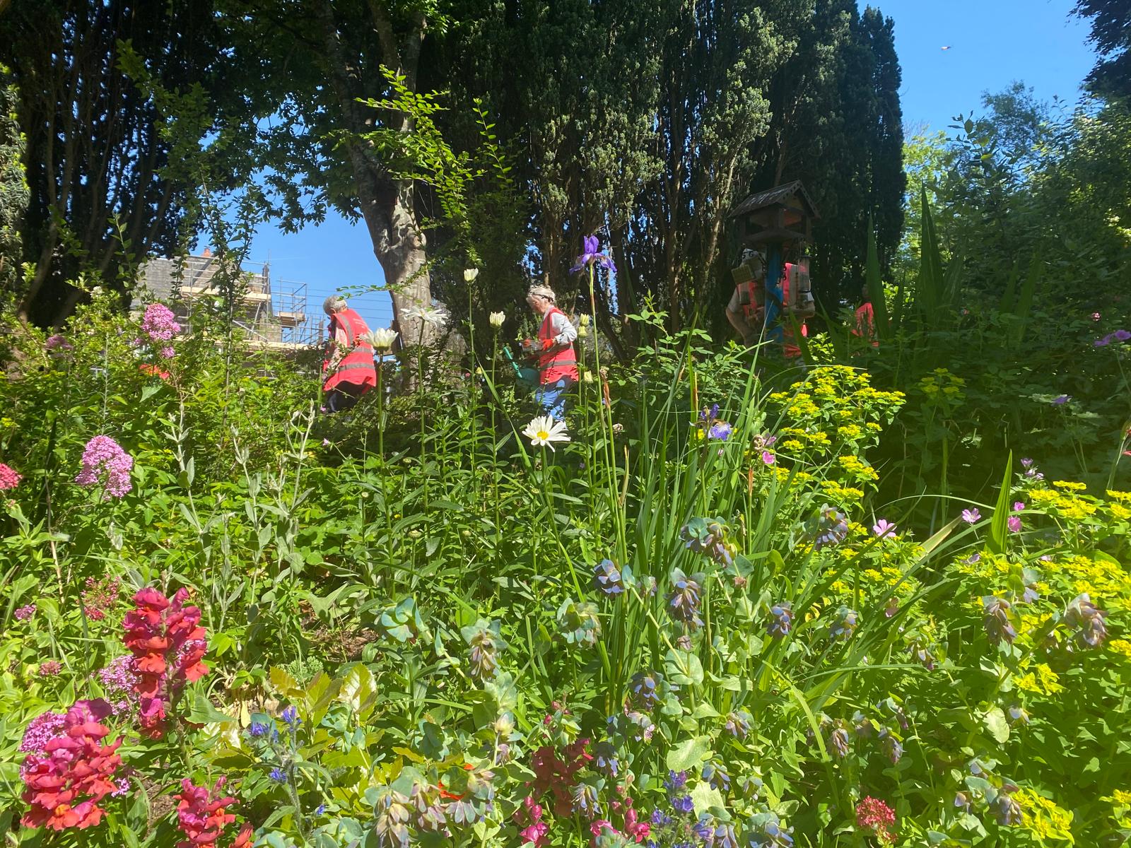 People working in a garden with lush greenery surrounding