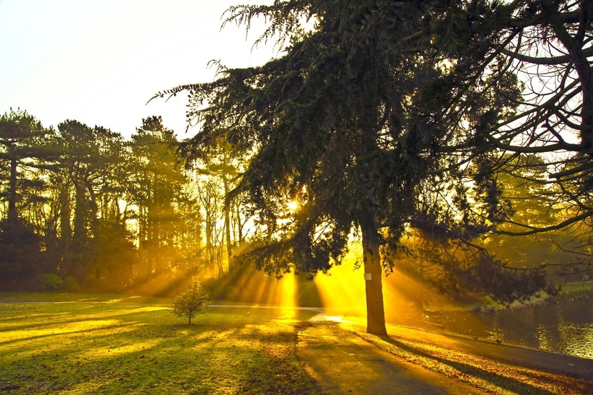 Go green: visit Britain s most beautiful parks by train Scenic Rail