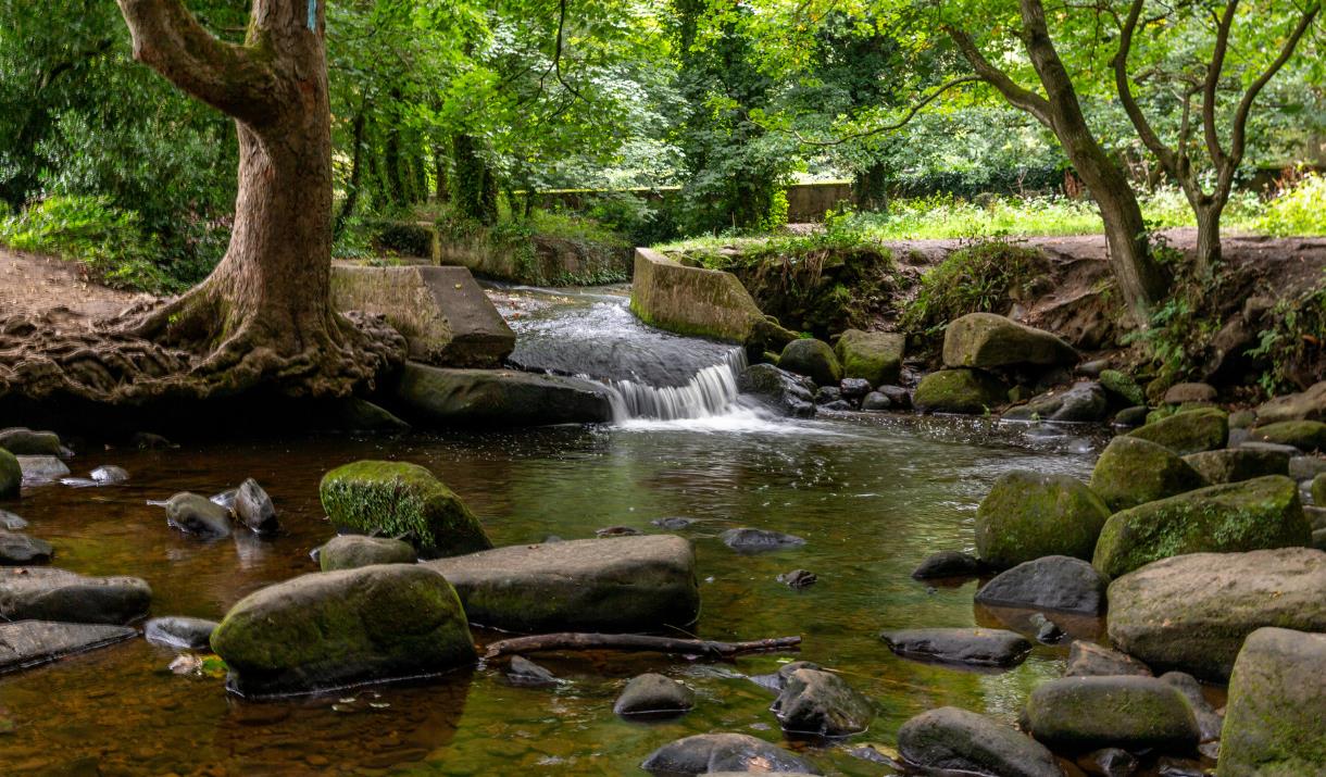 Shipley Glen, water surrounded by trees and greenery