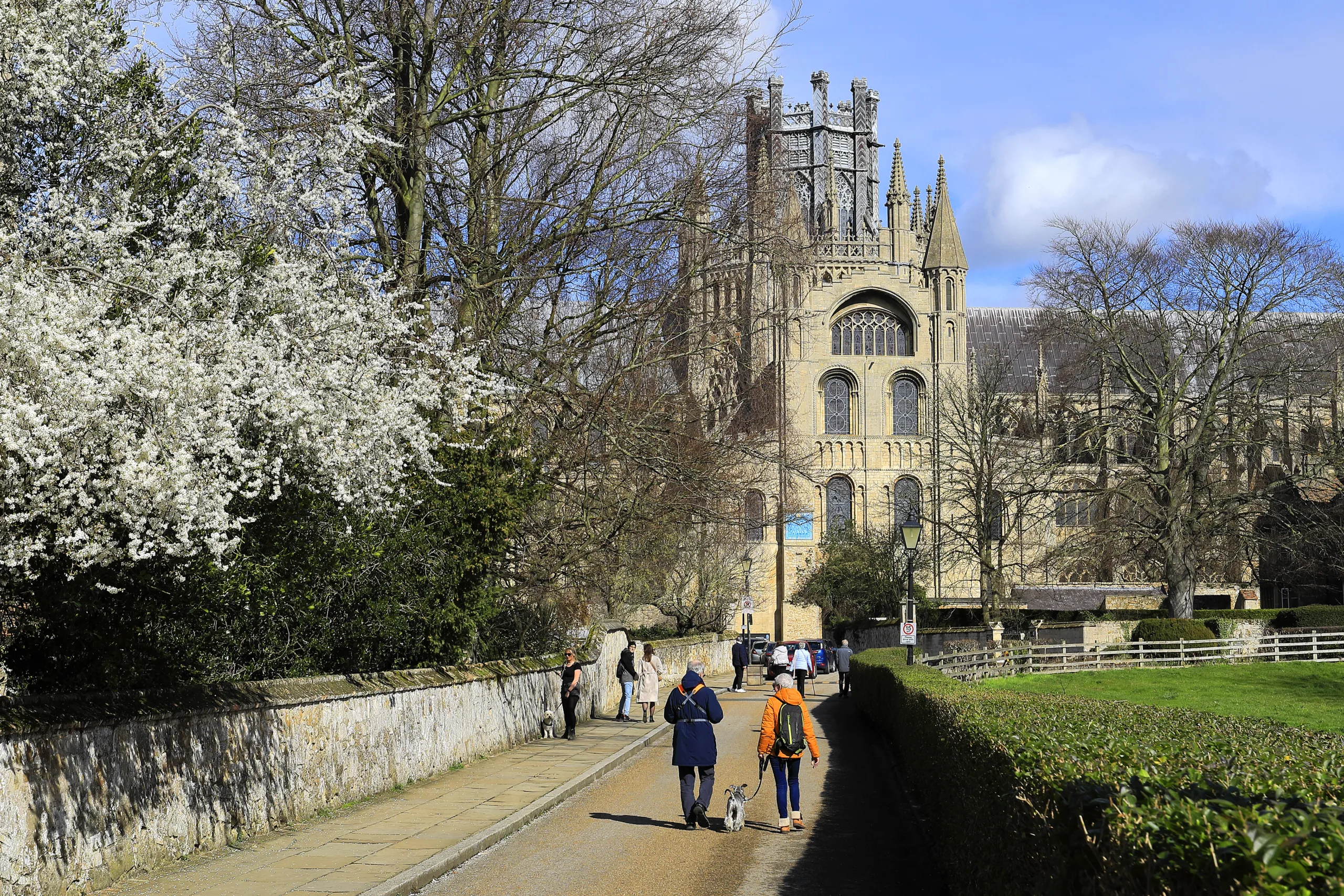 People walking in front of Ely Cathedral partially hidden by colourful trees
