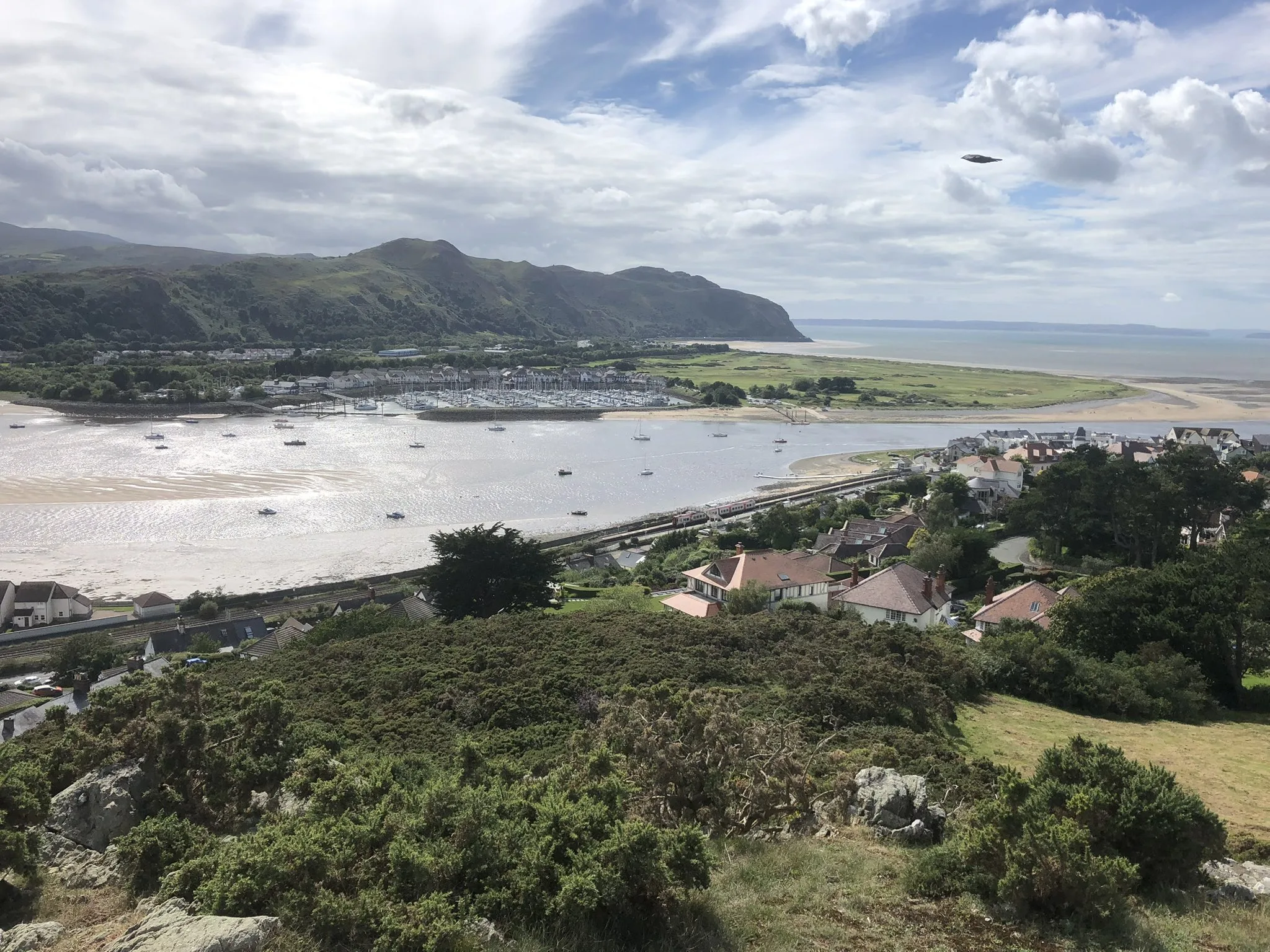 View of estuary | scenic rail views