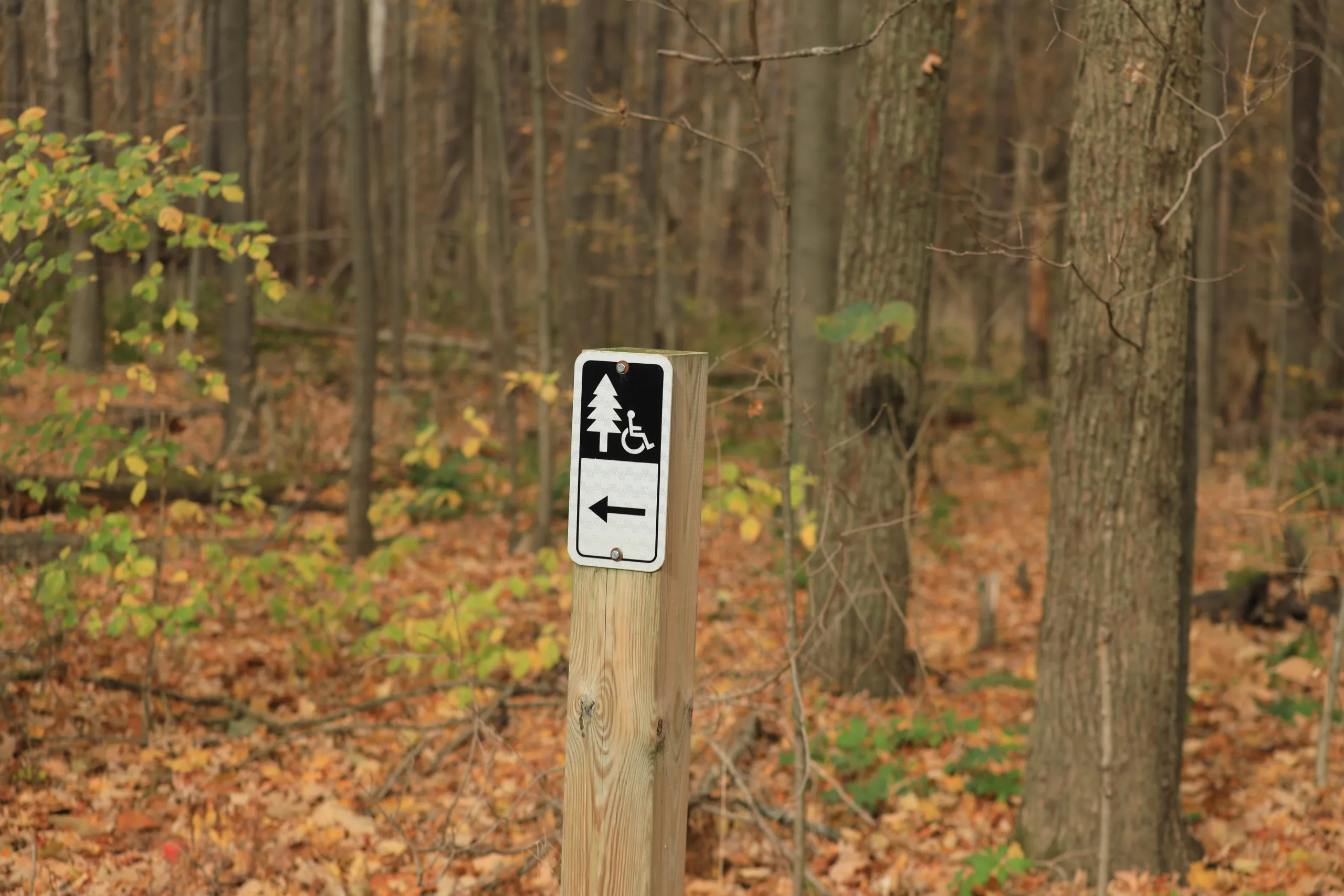 Signpost in the middle of a forest | Trails for every traveller