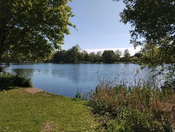 Lakeside view with trees surround on a summers day with clear blue sky | Local family favourites along the St. Edmunds Line.