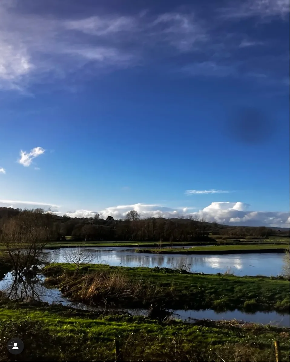 A deep blue sky reflected in a body of water with a shoreline of trees surround it - #scenicrailview