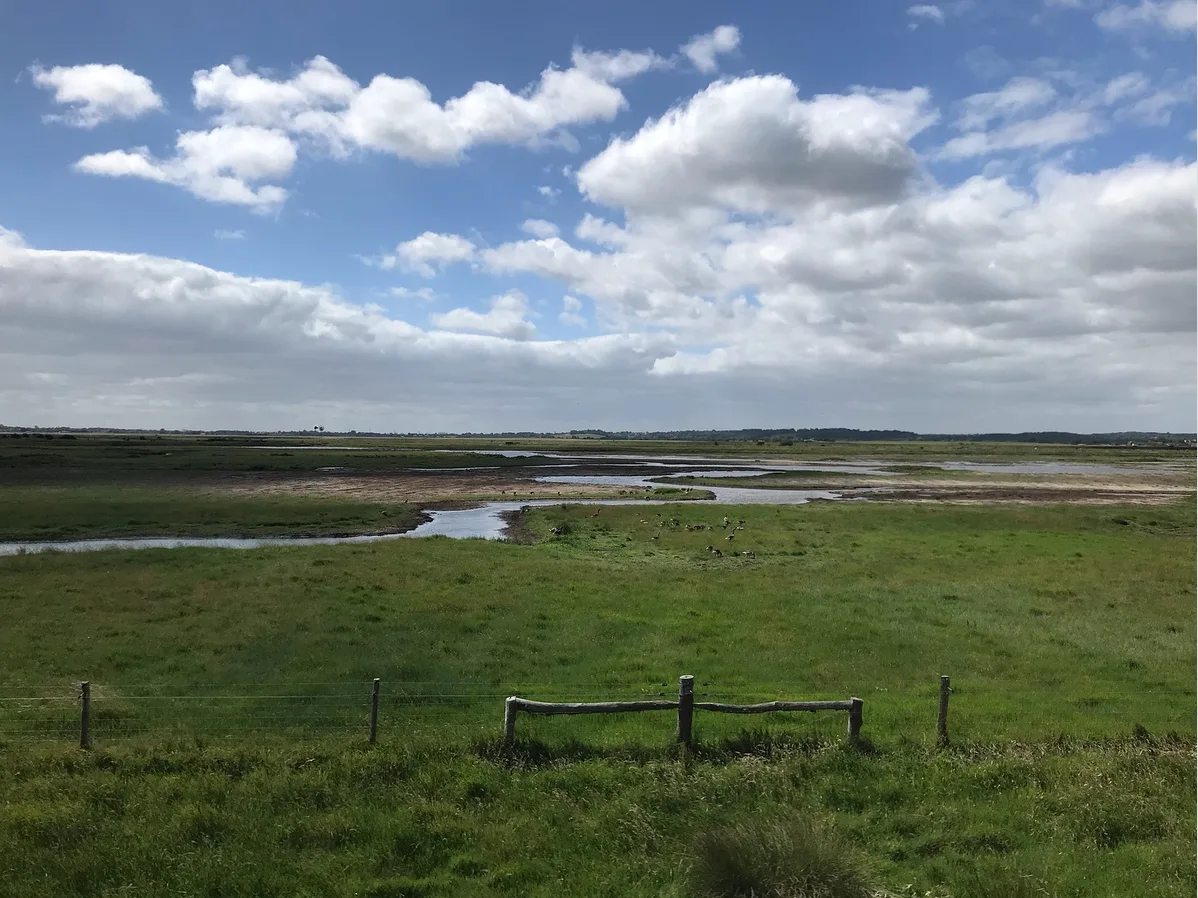 Lush green fields with a small stream running through the middle on a blue sky day with white fluffy clouds #scenicrailview