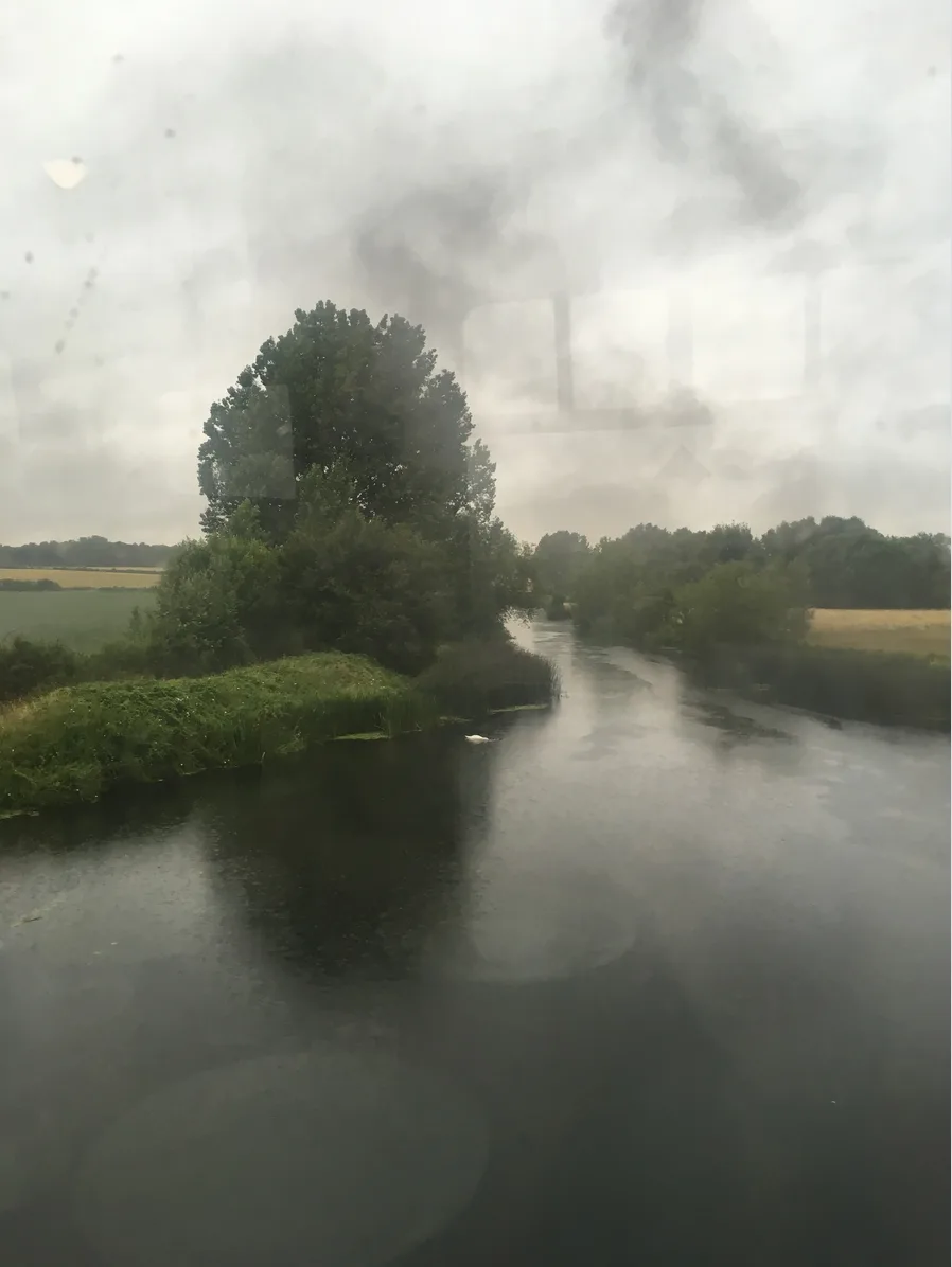 View from a viaduct over a body of water stretching into the distance with a large tree and greenery surrounding the banks #scenicrailview