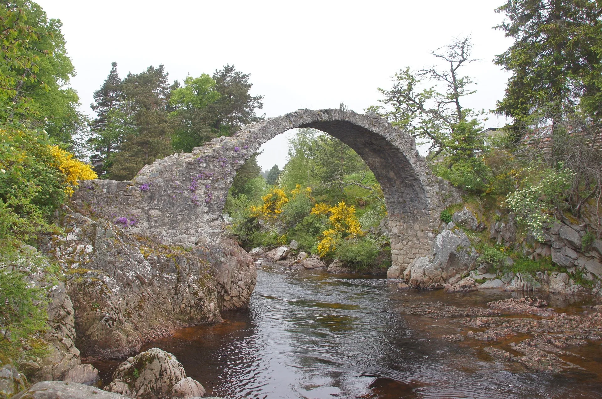 An ancient stone bridge arched in an almost perfect semi-circle with the river flowing beneath and lush trees on the banks. Packhorse Bridge, Carrbridge located along the Highland Main Line