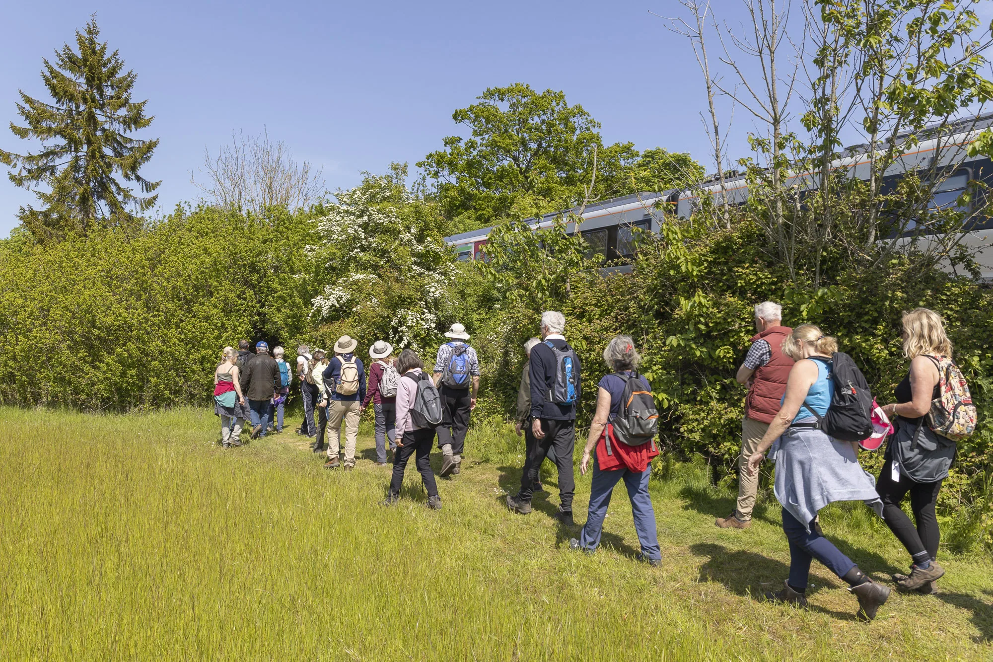 Photo showing a group of ramblers on a walk through a field along one of the East Suffolk Lines, as a Greater Anglia train passes on the tracks to their right.