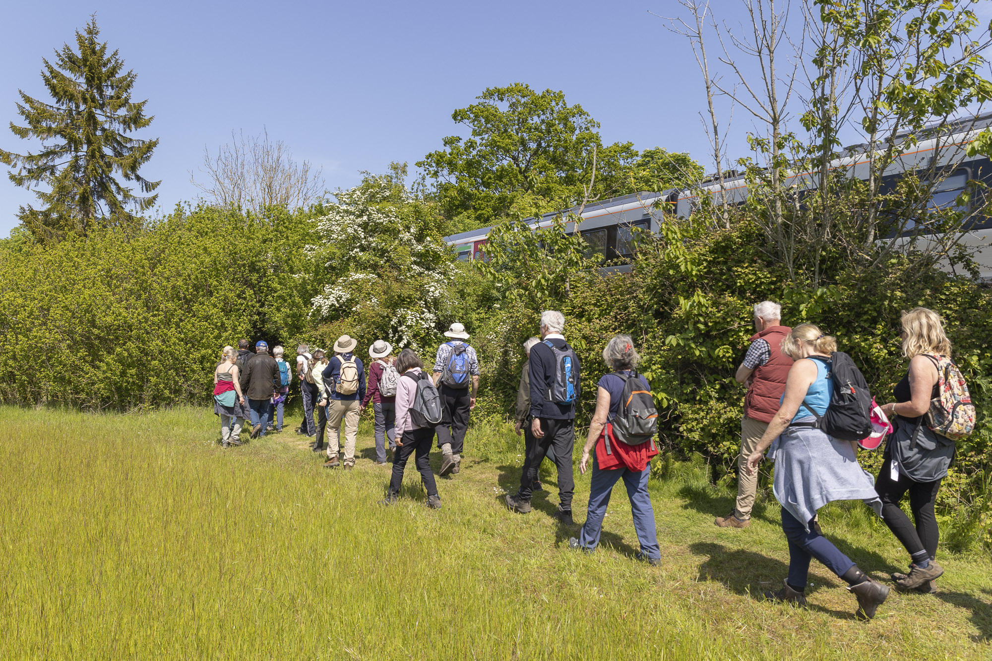 Photo showing a group of ramblers on a walk through a field along one of the East Suffolk Lines, as a Greater Anglia train passes on the tracks to their right.
