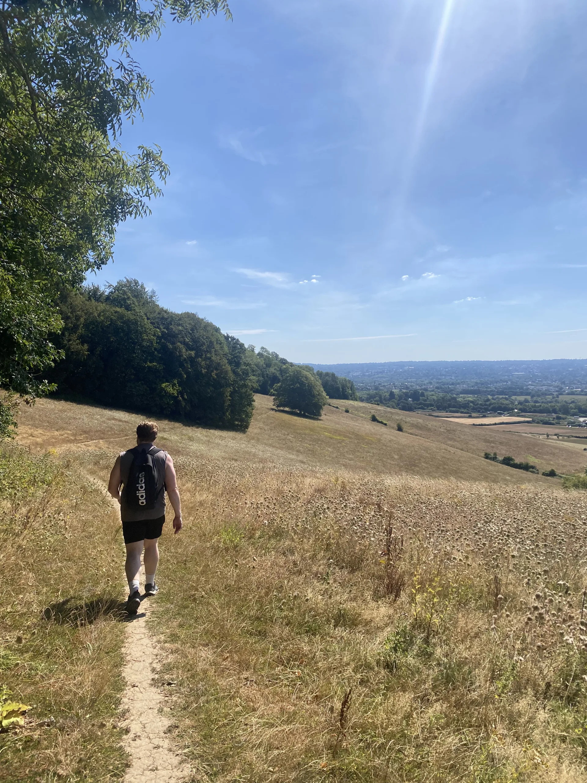 Person walking through the rolling countryside of the North Downs Way with a view over the horizon of lush green forests and a blue sky. Darent Valley Line