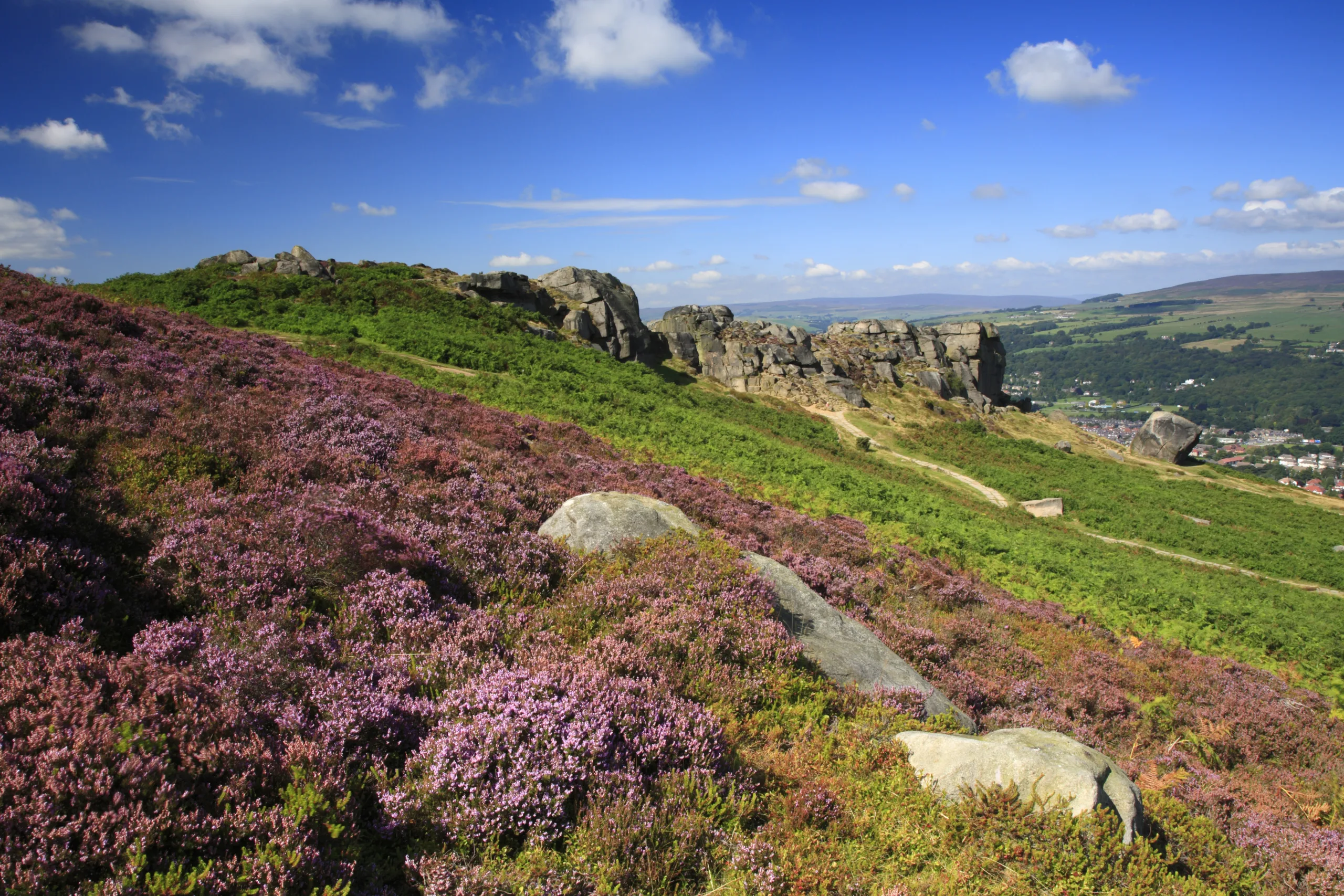 View across vibrant moorland, some purple heather covers the greenery with rugged rocks forming mart of Ilkley Moor.
